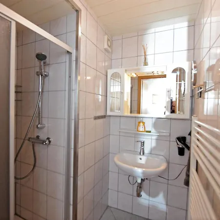 Rossbichl Apartment Saalbach-Hinterglemm